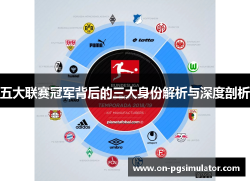 五大联赛冠军背后的三大身份解析与深度剖析