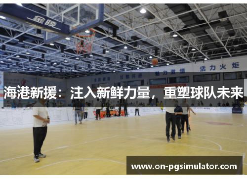 海港新援：注入新鲜力量，重塑球队未来
