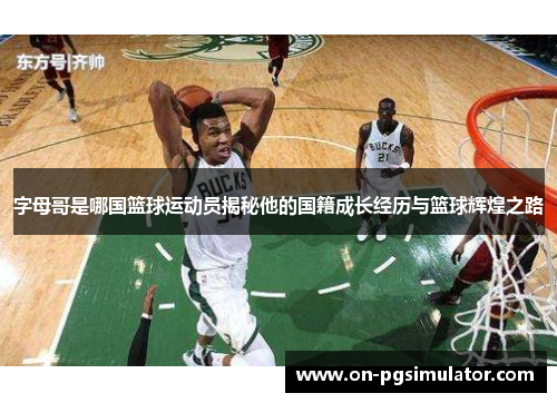 字母哥是哪国篮球运动员揭秘他的国籍成长经历与篮球辉煌之路