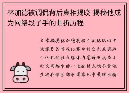 林加德被调侃背后真相揭晓 揭秘他成为网络段子手的曲折历程