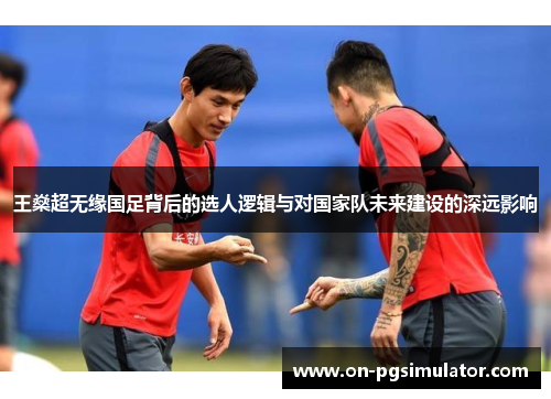 王燊超无缘国足背后的选人逻辑与对国家队未来建设的深远影响